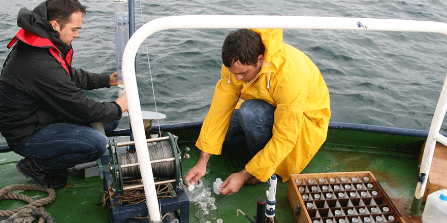 “Denizanalarının çoğalma nedeni kirlilik değil, doğa olayı”