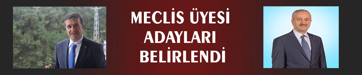 Meclis üyesi adayları belirlendi