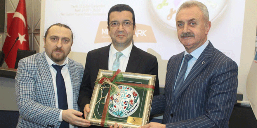 Ucuz plastik oyuncular  meme kanserini tetikliyor