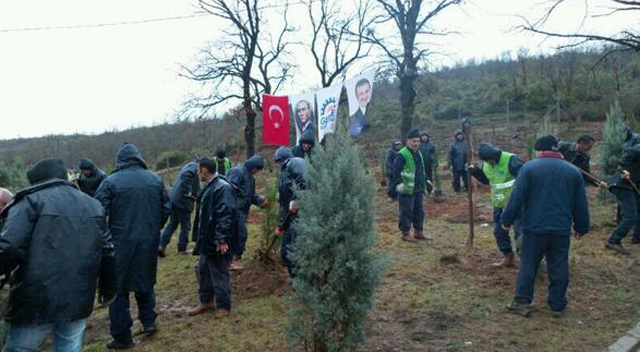 Gebze’de Ağaç Bayramı kutlandı