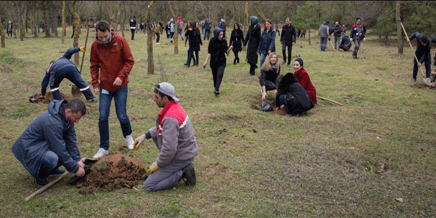 600 zeytin fidesi toprakla buluştu