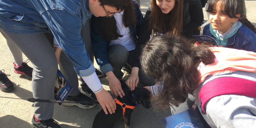 Öğrencilerden sokak hayvanlarına ziyaret