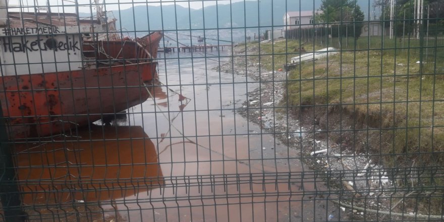 Kirliliğin nedeni gemiler değil, Alg Patlaması