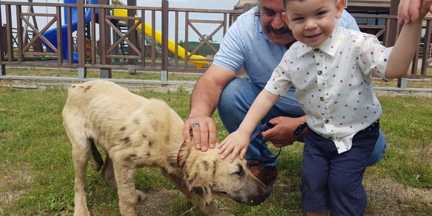 Ziftcan yeni yuvasına kavuştu