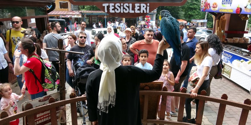 Maşukiye, bayram tatilinde dolup taştı