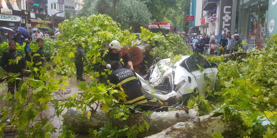 Çınar ağacı otomobilin üzerine devrildi