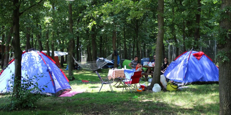Kampçıların gözde mekânı Ormanya