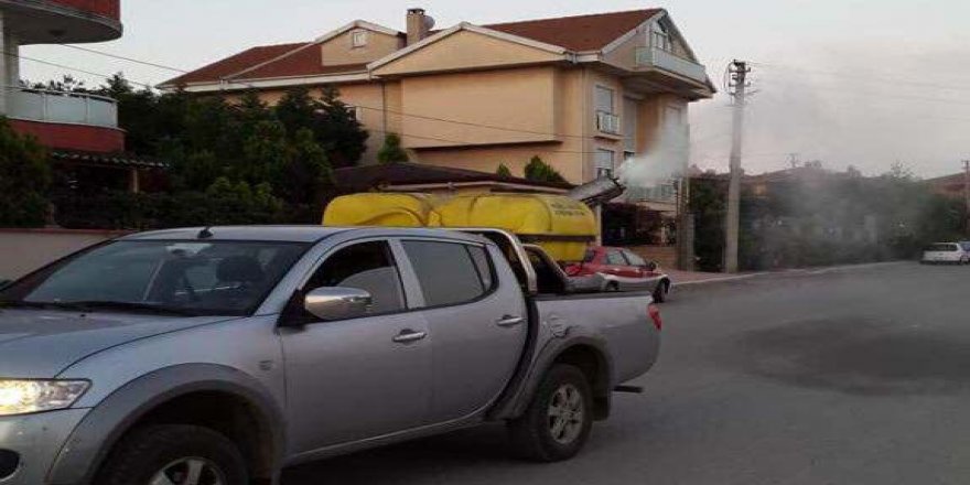 Darıca’da ilaçlama çalışmaları