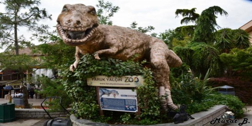 FARUK YALÇIN HAYVANAT BAHÇESİ VE BOTANİK PARKI: Darıca’ya değer katıyor