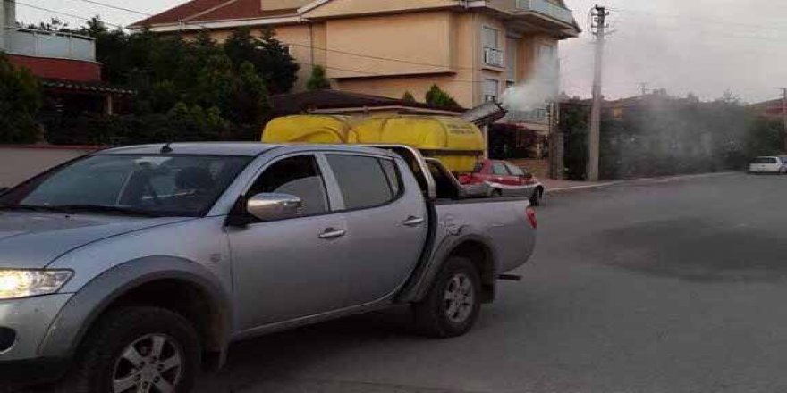 Darıca'da ilaçlama çalışmaları sürüyor