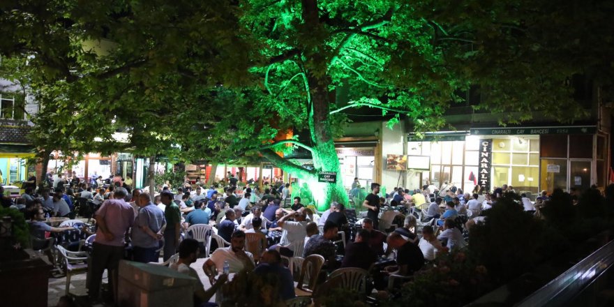 Darıca Çınaraltı yeşillendi