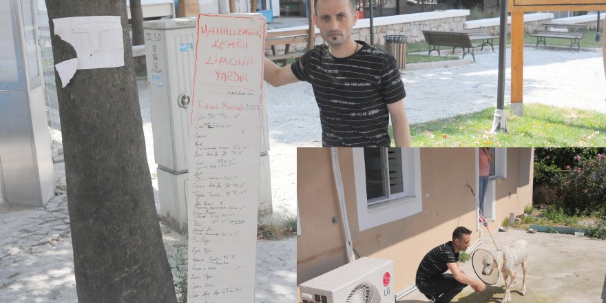 Mahalle esnafı 'Limon' için birlik oldu