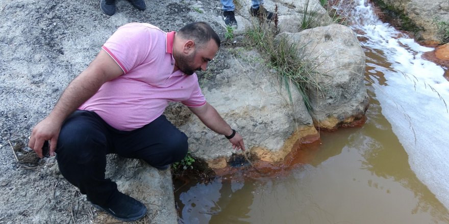 DİLOVASI: Eynerce Deresi yine kirletildi!