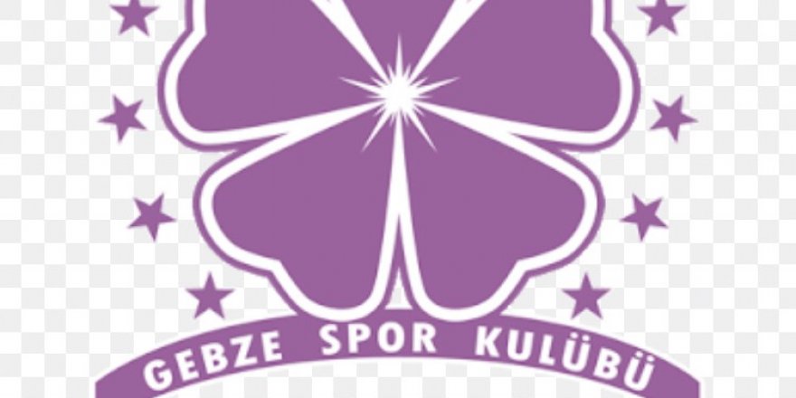Gebzespor’a sıcak para geliyor