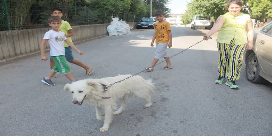 Belediyeye çağrı:  Prens’i bizden almayın