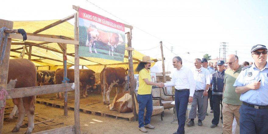 ÇAYIROVA:  Kurban satış pazarında inceleme yaptı