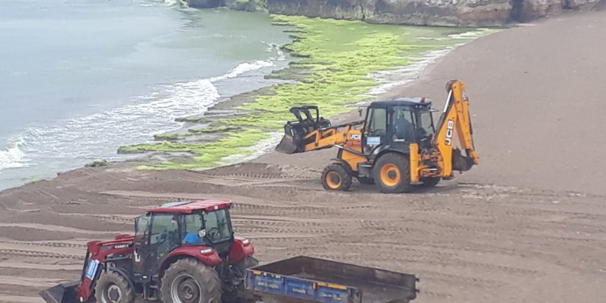 10 kamyon yosun toplandı  