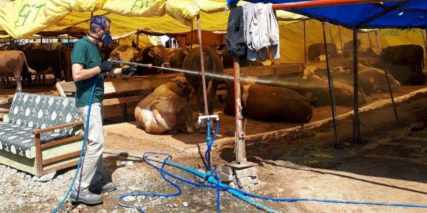 Kurban satış yerleri ilaçlanıyor