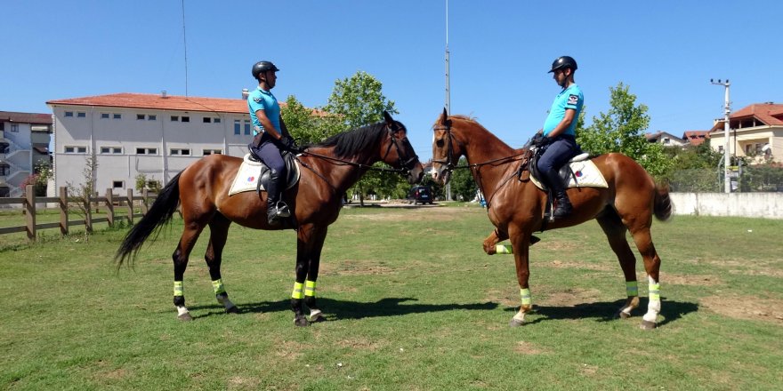 Jandarma, Kandıra sahillerinde atlarla görev yapıyor