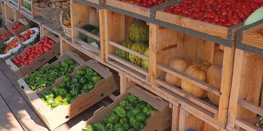 Türkiye’nin ilk ve tek  ekolojik oteli Kandıra’da