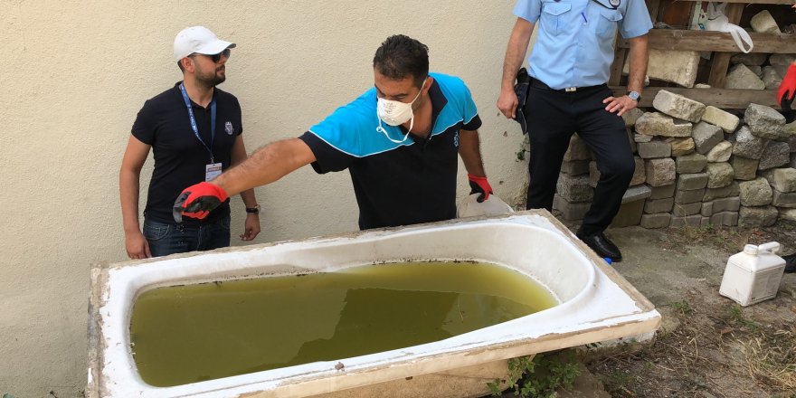 Sivrisinekle mücadele devam ediyor