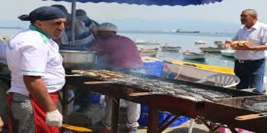 Eskihisar’da balık festivali 30 Ağustos’ta