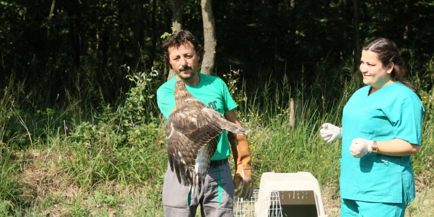 Yaban hayvanlarına  umut olan merkez