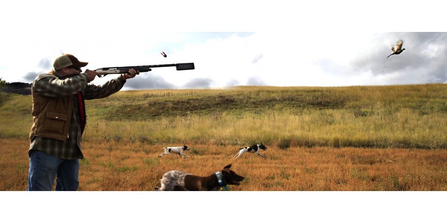 Yavru avlamak yumurta toplamak yasak