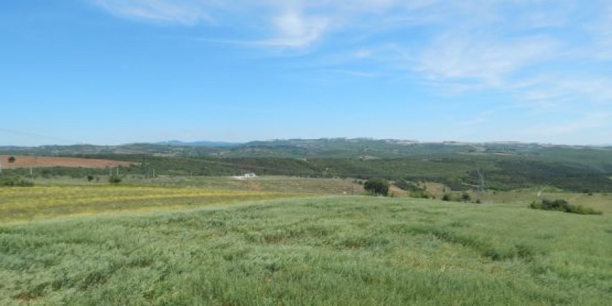 Tarım arazileri nasıl bitirildi?