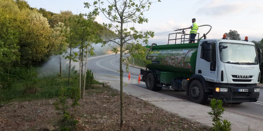 Ağaçlar susuz kalmıyor