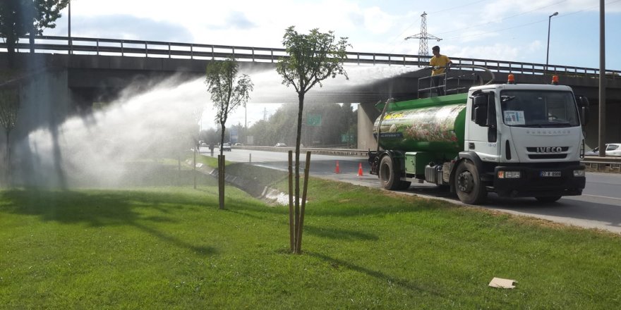 Ağaçlar susuz kalmıyor