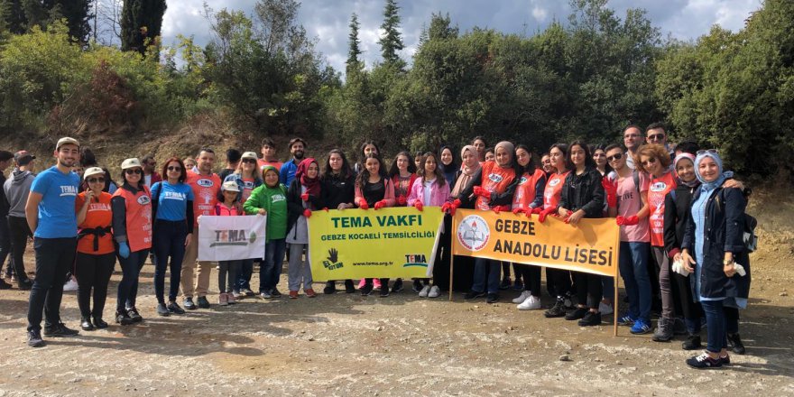 TEMA yanan ormanda temizlik yaptı