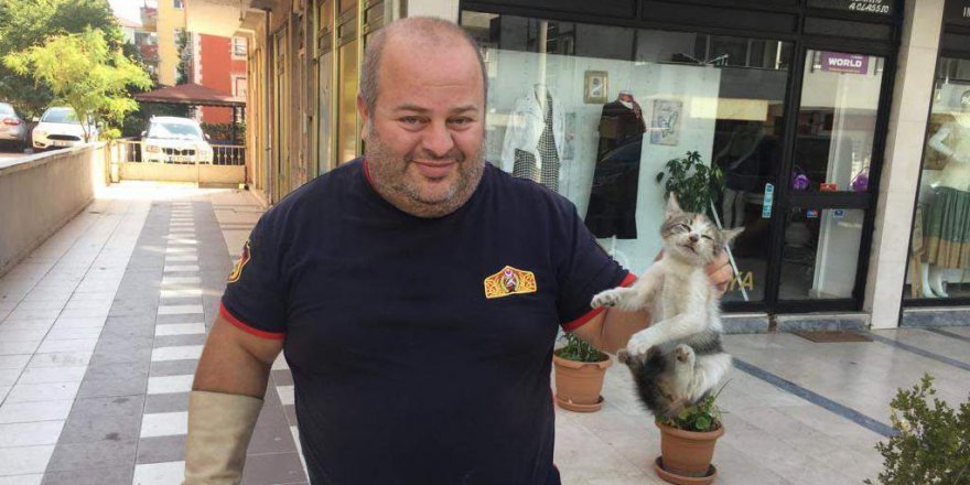 Aracın motoruna giren yavru kedi kurtarıldı