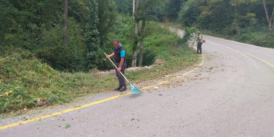 Yollarda görüşü engelleyen otlar temizlendi