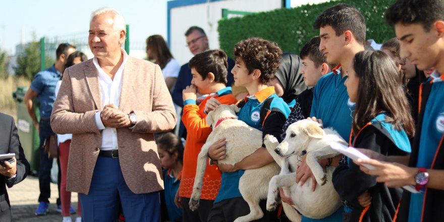 GEBKİM OSB 98 sokak köpeğinin bakımını üstleniyor