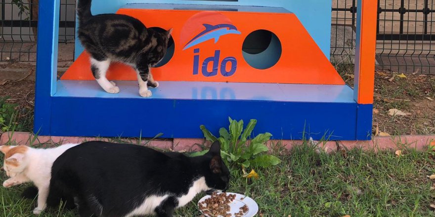 İDO terminallerine kedi ve köpek evleri