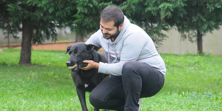 Ağzında taş taşıyan köpek, yavrularını kaybetmiş