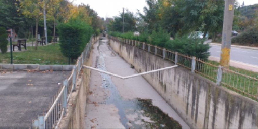 Bu görüntü pes dedirtti!