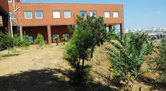 Bu görüntü yakışmıyor!