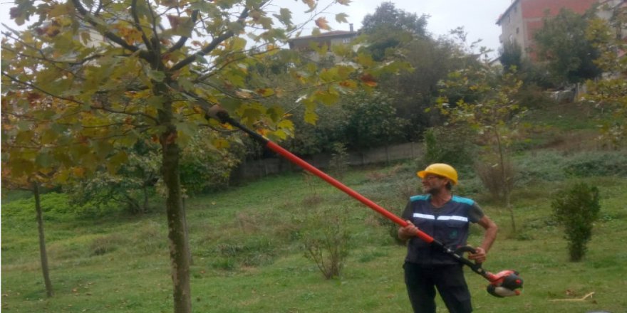 Mesire alanına periyodik bakım  