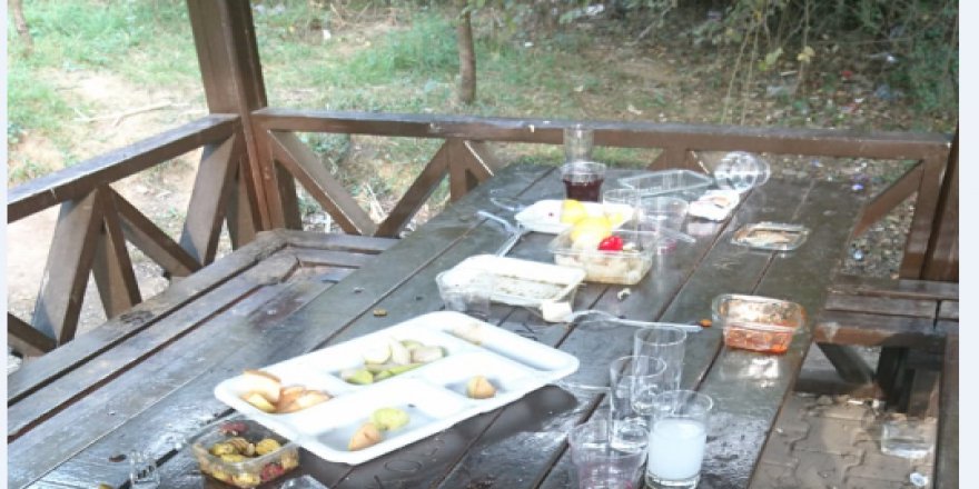 Mesire alanı çöplük gibi!