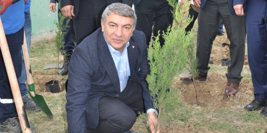 Dilovası: 8 bin fidan toprakla buluştu