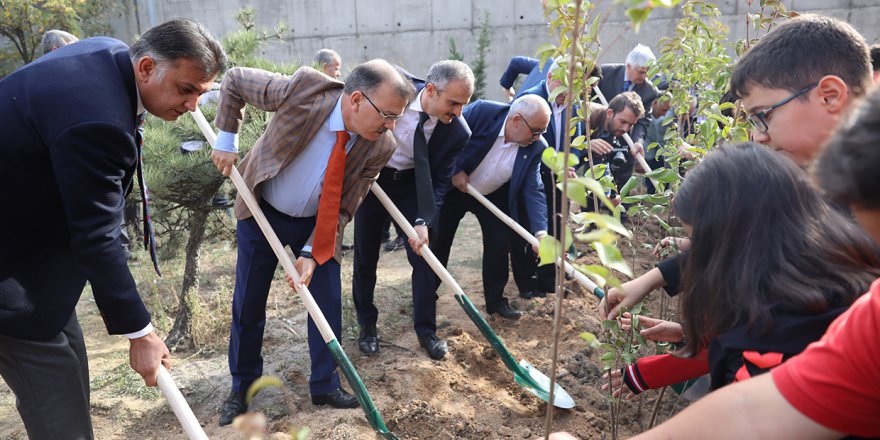 ÇAYIROVA: 600 fidan toprakla buluştu