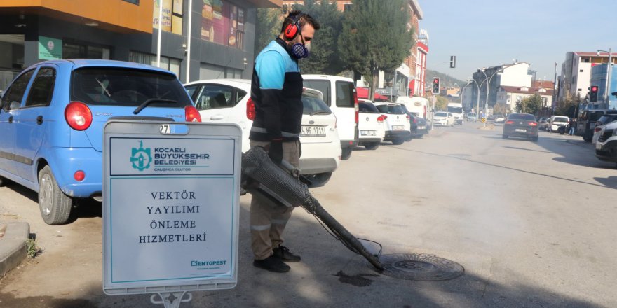 Sivrisinek ile mücadele devam ediyor