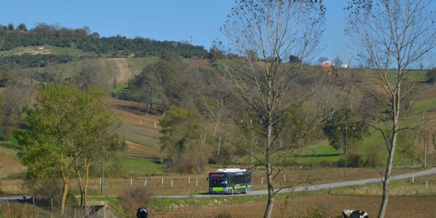 Hat 805 ile merkeze aktarmasız ulaşım