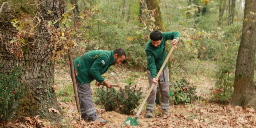 Doğal yaşam parkı kışa hazırlanıyor  