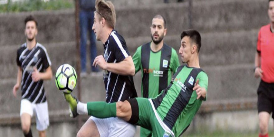 Darıca Martı uçmayı unuttu