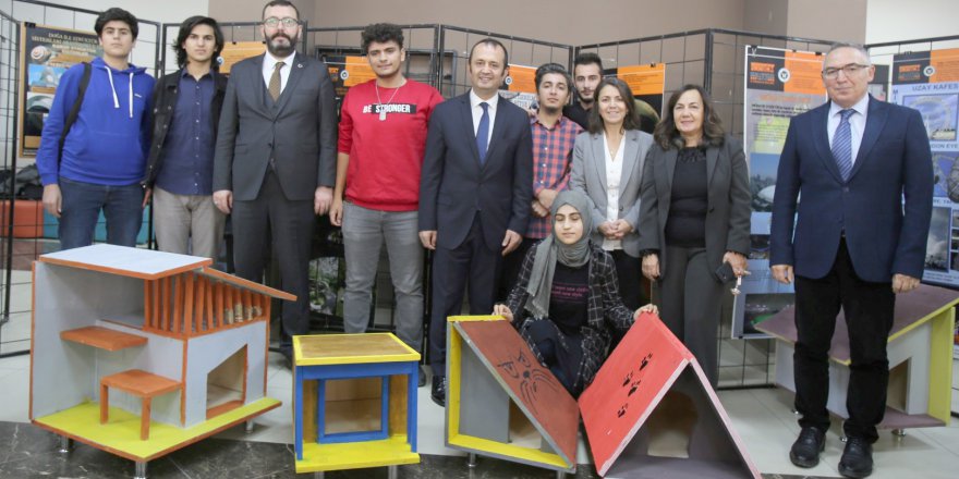 Sokak hayvanları için tasarlanan yuvalar sergilendi