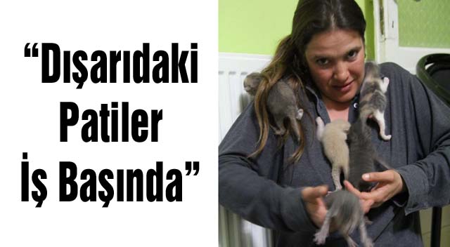 “Dışarıdaki Patiler İş Başında”