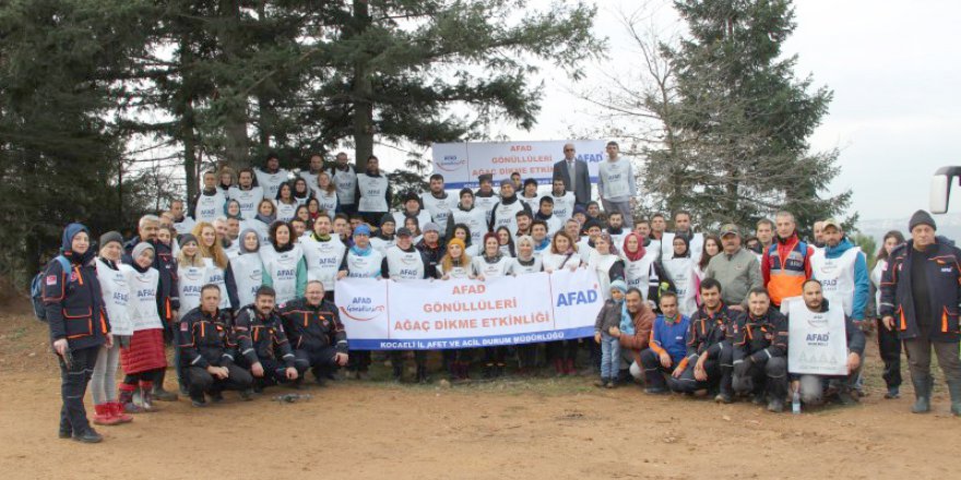 AFAD gönüllülerle fidan dikti